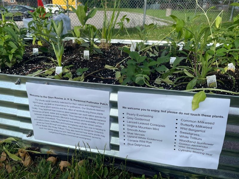 Welcome to the Jr. P.S. Food Footpath! Open Gallery