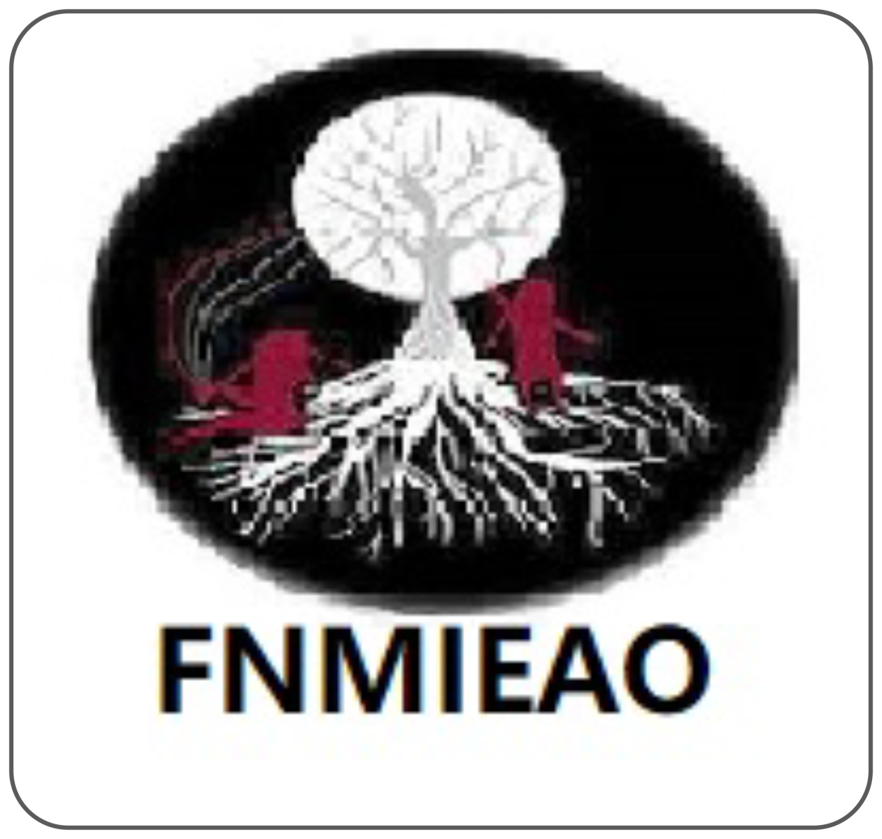 FNMIEAO